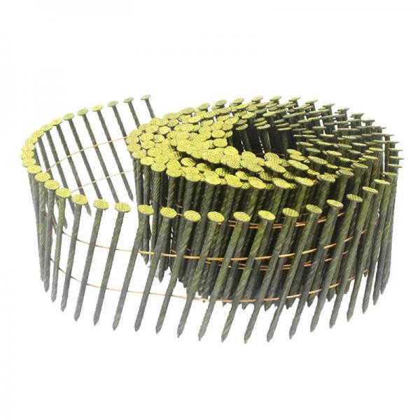 Coil Nail (Paku Tembak)